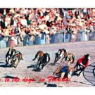 Greyhound Racing Florida Vintage Post Card