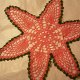Doilies