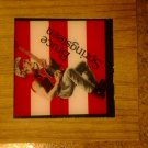 BRUCE SPRINGSTEEN carnival mirror glass rock VINTAGE 80s