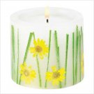 39210 Darling Daisies Candle