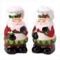 12070 Santa Claus Salt & Pepper Shakers