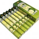 Green Apple Incense Sticks Six-pack (~20 Sticks Per Pack) Box HEM   