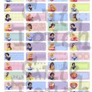 Name Labels Stickers- Princess Series