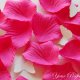 Silk Rose Petals