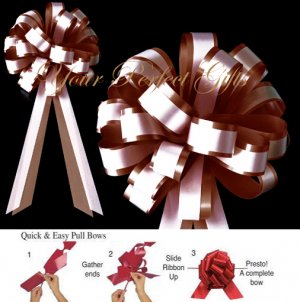 10 CHOCOLATE BROWN & WHITE 8" TWO LAYER WEDDING PULL PEW BOW  BRIDAL CAKE GIFT BASKET DECORCATION