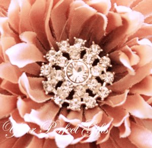10 Round Circle Two Row Diamante Rhinestone Crystal Button Hair Clip Wedding Invitation Ring  BT037