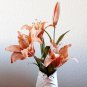 20 Clear Crystal Silver plated Swirl Pin Stem Bouquet Jewelry Wedding Cake Decoration AC017