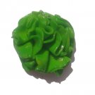 Lettuce Magnet-- ALL MAGNET ORDERS HAVE A 25 PIECE MINIMUM (ASSORTED OR SAME)