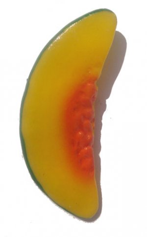 Squash Slice Magnet - ALL MAGNET ORDERS HAVE A 25 PIECE MINIMUM (ASSORTED OR SAME)