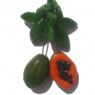 Dangling Papaya----ALL MAGNET ORDERS HAVE A 25 PIECE MINIMUM (ASSORTED OR SAME)