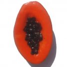 Papaya-ALL MAGNET ORDERS HAVE A 25 PIECE MINIMUM (ASSORTED OR SAME)