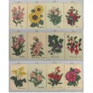12 Piece Wall Plaque Flower Set