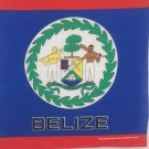 Belize Flag Bandanas