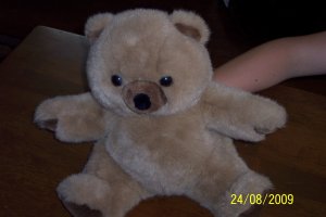 Womb Bear