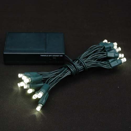 Battery Operated 20 LED Lights Warm White Green Wire