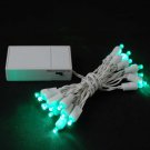 Battery Operated 20 LED Lights Green White Wire