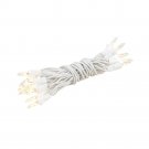 Clear White Wire Mini Lights 20 Light 8.5 Ft