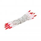 Red White Wire Mini Lights 20 Light 8.5 Ft