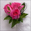Pink Bout