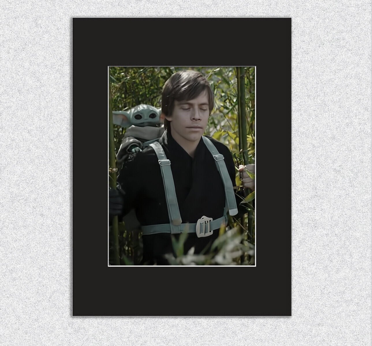 Luke Grogu Baby Yoda Jedi Training 8x10 Mat Print Wall Art