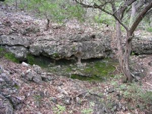 50 Acres Land