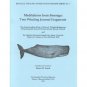 Meditations From Steerage ed Stuart Frank (Book) 1991