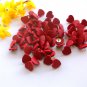 Heart Shaped Red Thumb Tacks or Push Pins