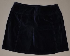 EXPRESS Women's short a line velvet skirt 9/10 NWT