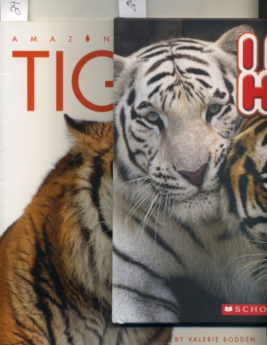 Lot of 2 I Love Hugs HC and Amazing Animals Tigers SC