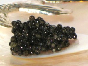 Order Fresh Sevruga Caviar Russian Sevruga Caviar Online 4x1oz jars
