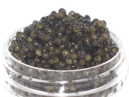 Fresh Malossol Osetra Caviar :: Ossetra Caviar - 1 Ounce