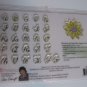 Petaloo Acrylic Clear Stamps Petal-bets: Upper Case