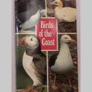 Birds Of The Coast - Sea Birds - Jarrold Bird Series, Book 2 Birds Of The Coast - Sea Birds - Jarrold Bird Series, Book 2