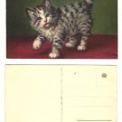 Kitten Artwork Postcard - artist A. Lampe - number 170 - never used Kitten Artwork Postcard - artist A. Lampe - number 170 - never used