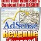 AdSense Revenue Exposed