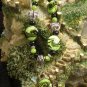 Luscious Lime Delight N048