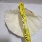 Large Genuine Ocean Giant Ruffled Clam Shell Tridacna Gigas 10" x 8.5" 3.5lb