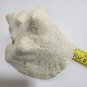 Large 7â Conch Natural Seashell White Beach Decor Seascape
