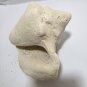 Large 7â Conch Natural Seashell White Beach Decor Seascape