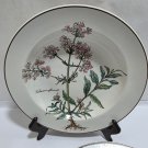 Villeroy & Boch Botanica Rim Soup Bowl Valeriana Officinalis Herb Luxembourg
