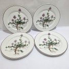 Villeroy & Boch Depuis 1748 Botanica 8 1/4 Salad Plate Thymus pulegioides Roots