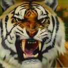 New 20x24" Hand-Made 'Mad Tiger' Oil Painting on Canvas