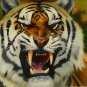 New 20x24" Hand-Made 'Mad Tiger' Oil Painting on Canvas