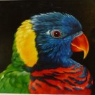 New 20x24" Hand-Made 'Colorful Bird' Oil Painting on Canvas