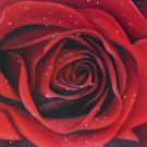 New Hand-Made 20x24" Red Rose Oil Painting on Canvas