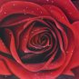 New Hand-Made 20x24" Red Rose Oil Painting on Canvas