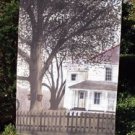 Large American Spirit Flag -So Pretty