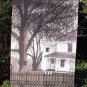 Large American Spirit Flag -So Pretty