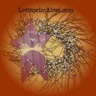 Ivory Wispy Twig Wreath with Wooden Star-Prim