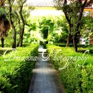 Garden Walkway Photo (Medium)
